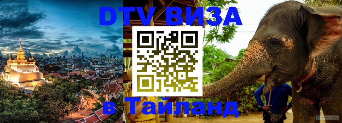 Купить DTV визу в Таиланд 