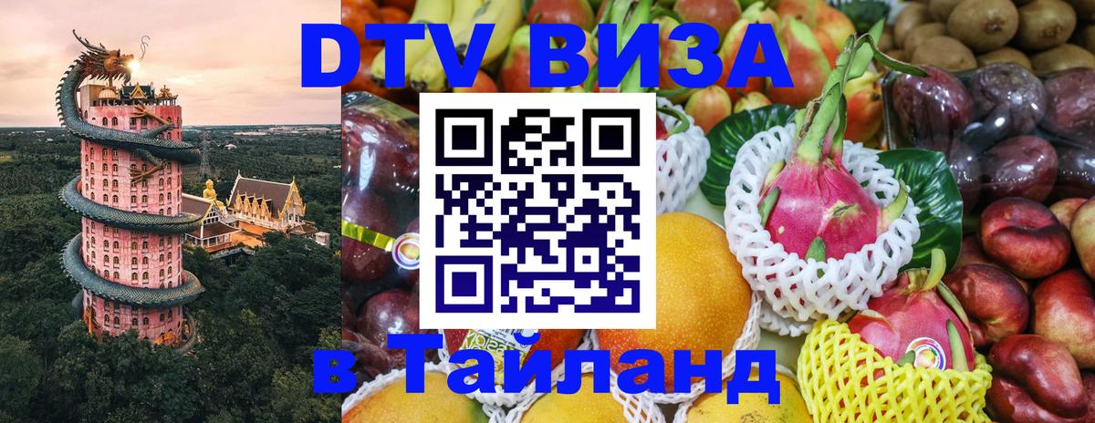 Сколько стоит DTV виза — актуальные цены, оформление даже без документов - Элиста 